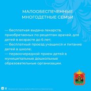 Спрашивали? Отвечаем! Какие выплаты положены семьям с детьми в Кузбассе?