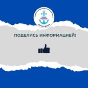 О работе социально ориентированной некоммерческой организации "Гавань Надежды"