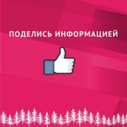 Поход за ёлкой в лес&#127794;