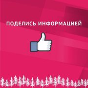 Поход за ёлкой в лес&#127794;