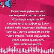 Поход за ёлкой в лес&#127794;