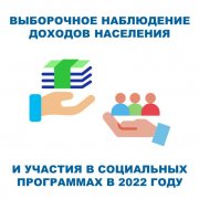 Выборочное наблюдение доходов населения и участия в социальных программах  в  2022 году