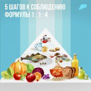 Формула здорового питания 1 : 1 : 4 Формула здорового питания 1 : 1 : 4