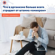 Отличие нового штамма