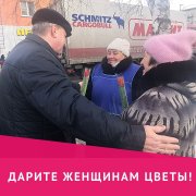 Тюльпаны - милым дамам!