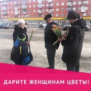 Тюльпаны - милым дамам!