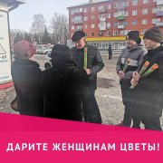 Тюльпаны - милым дамам!