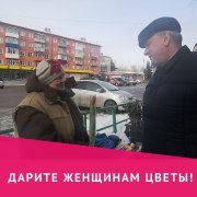 Тюльпаны - милым дамам!