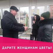 Тюльпаны - милым дамам!