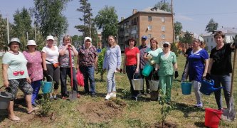 Посадка деревьев в поселке Тайжина