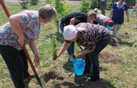 Посадка деревьев в поселке Тайжина