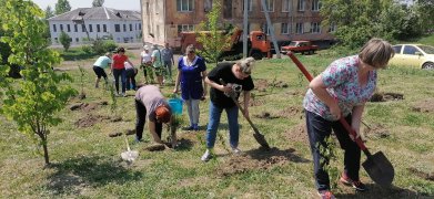 Посадка деревьев в поселке Тайжина