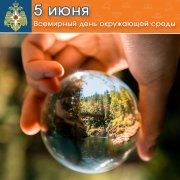 День в истории - 5 июня день охраны окружающей среды 