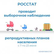 Выборочное наблюдение репродуктивных планов населения