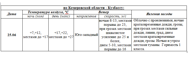 ПРОГНОЗ ПОГОДЫ на 25 июня 2025 г.