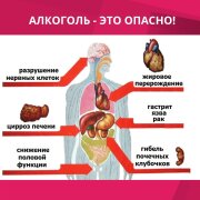 Скажи алкоголю - нет!